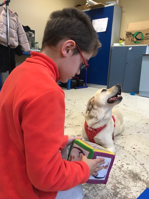 Guillaume lance le dé